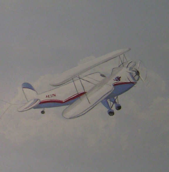 Airplane mural - Nursery Mural